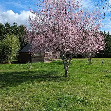 Guest house Calvados